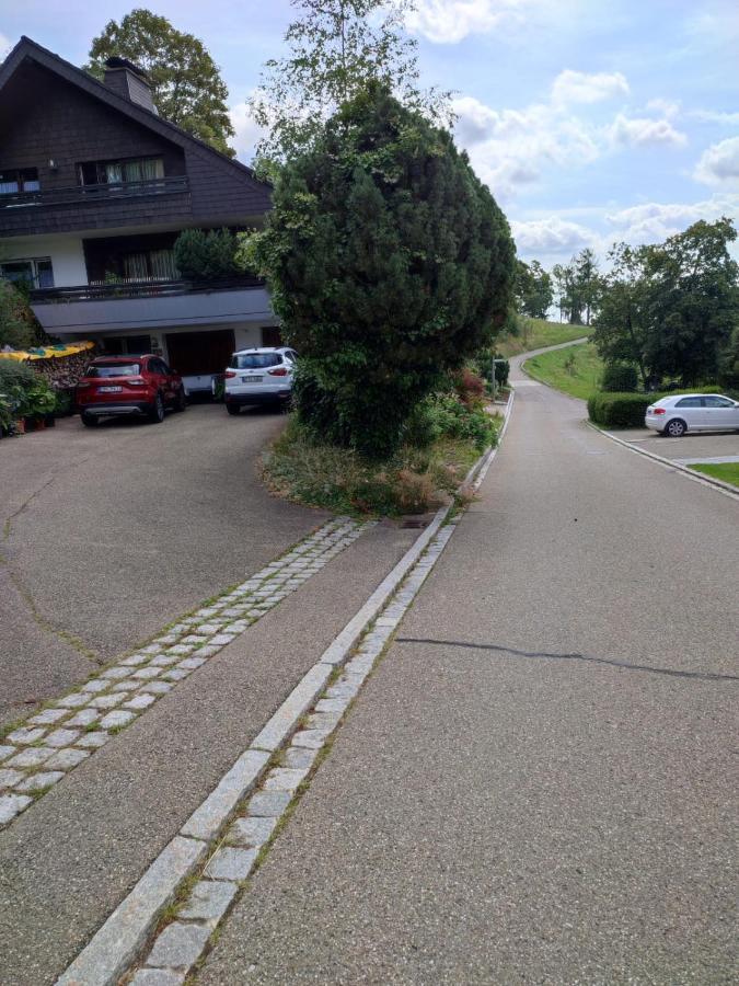 Apartament Feldbergsicht Lenzkirch Zewnętrze zdjęcie