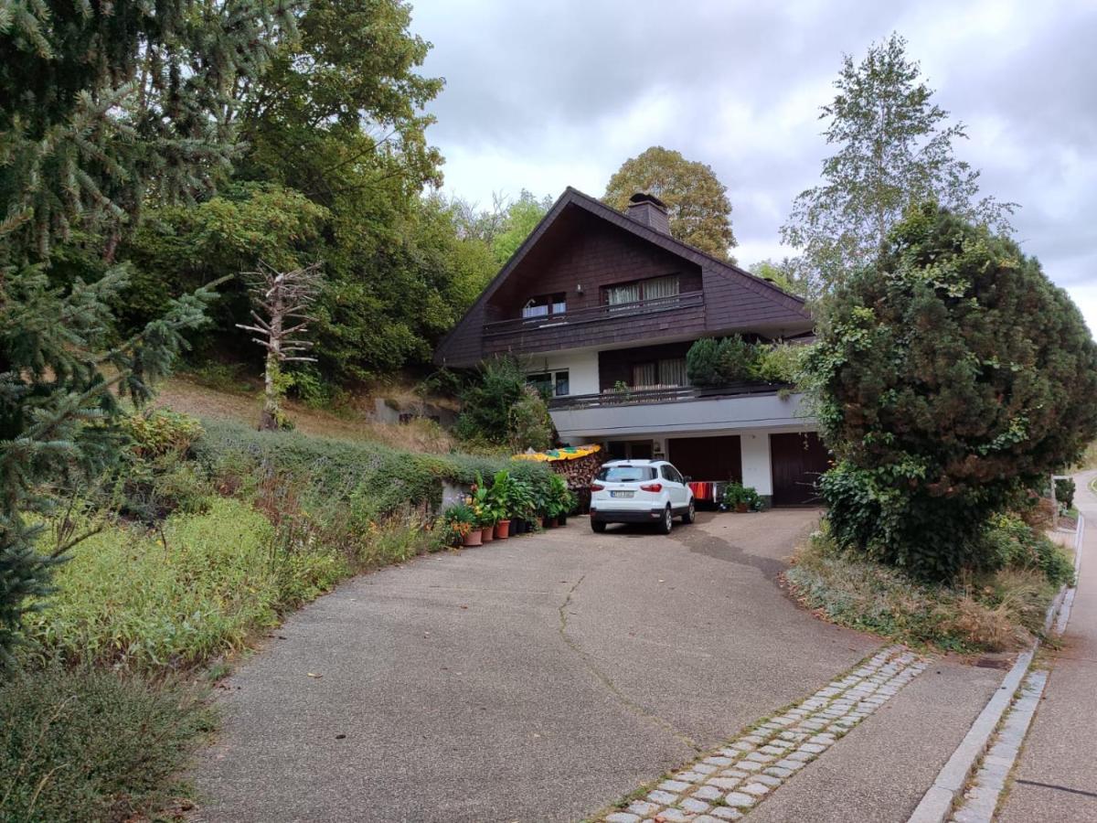 Apartament Feldbergsicht Lenzkirch Zewnętrze zdjęcie