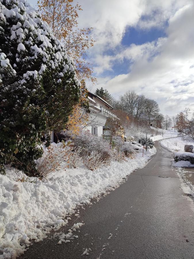 Apartament Feldbergsicht Lenzkirch Zewnętrze zdjęcie